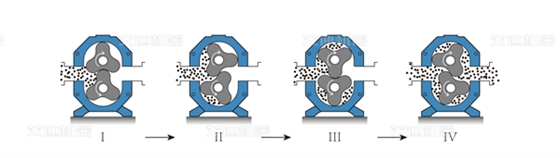 弹性体凸轮转子泵工作原理