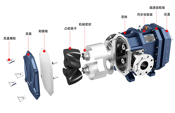 弹性体凸轮转子泵爆炸图.jpg