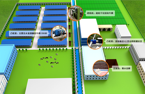 畜牧业养殖场凸轮转子泵规划图.jpg 畜牧业养殖场凸轮转子泵规划图.jpg