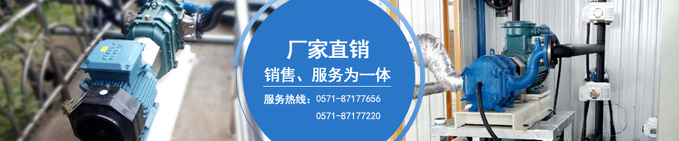 凸轮转子泵制造商